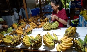 Gubernur Jatim, Khofifah Borong Pisang Ngebel Rp1,7 Juta