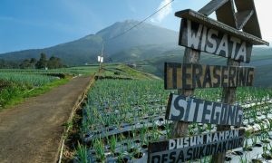 Mengenal Micro-Tourism: Tren Baru Liburan Hemat