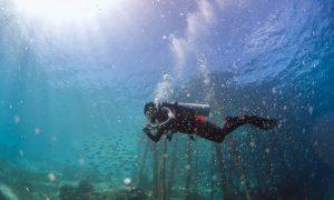 Menpar Widiyanti Tinjau Kesiapan Revalidasi UNESCO Global Geopark Raja Ampat Geopark Raja1
