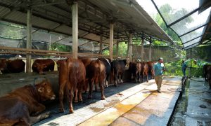 IMG_20260521_065549
