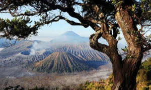 Bromo Kembali1